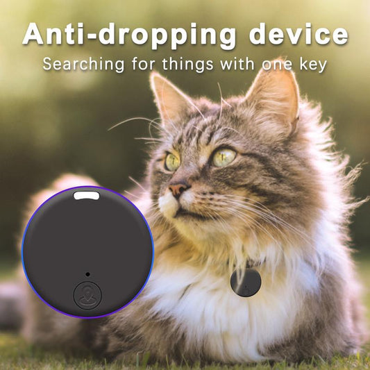Anti-Lost GPS Smart Tag Keychain